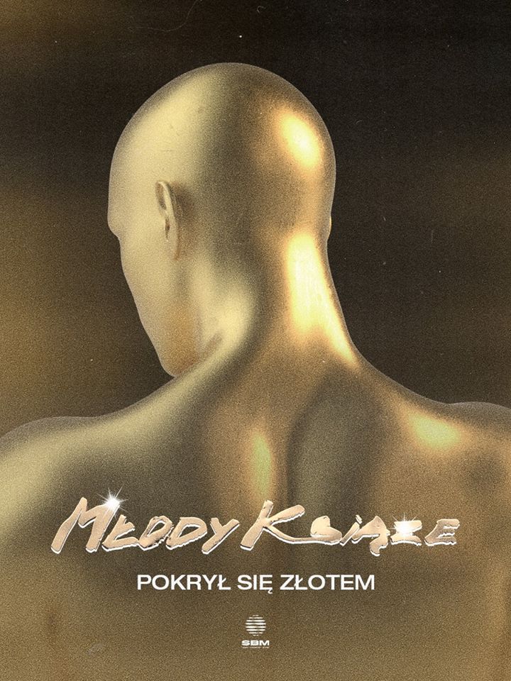 "młody książę" okładka
