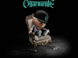 ogarniente