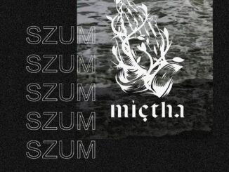 szum