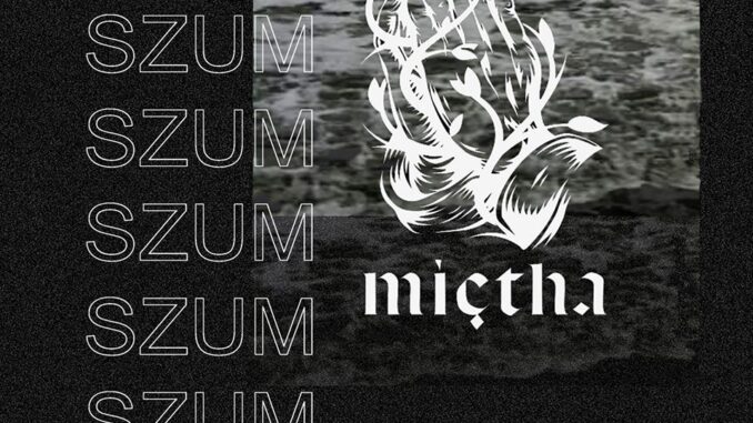 szum