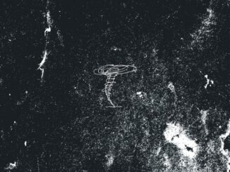 Anomalie (okładka)