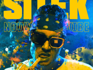Sitek NowyVibe(okładka)
