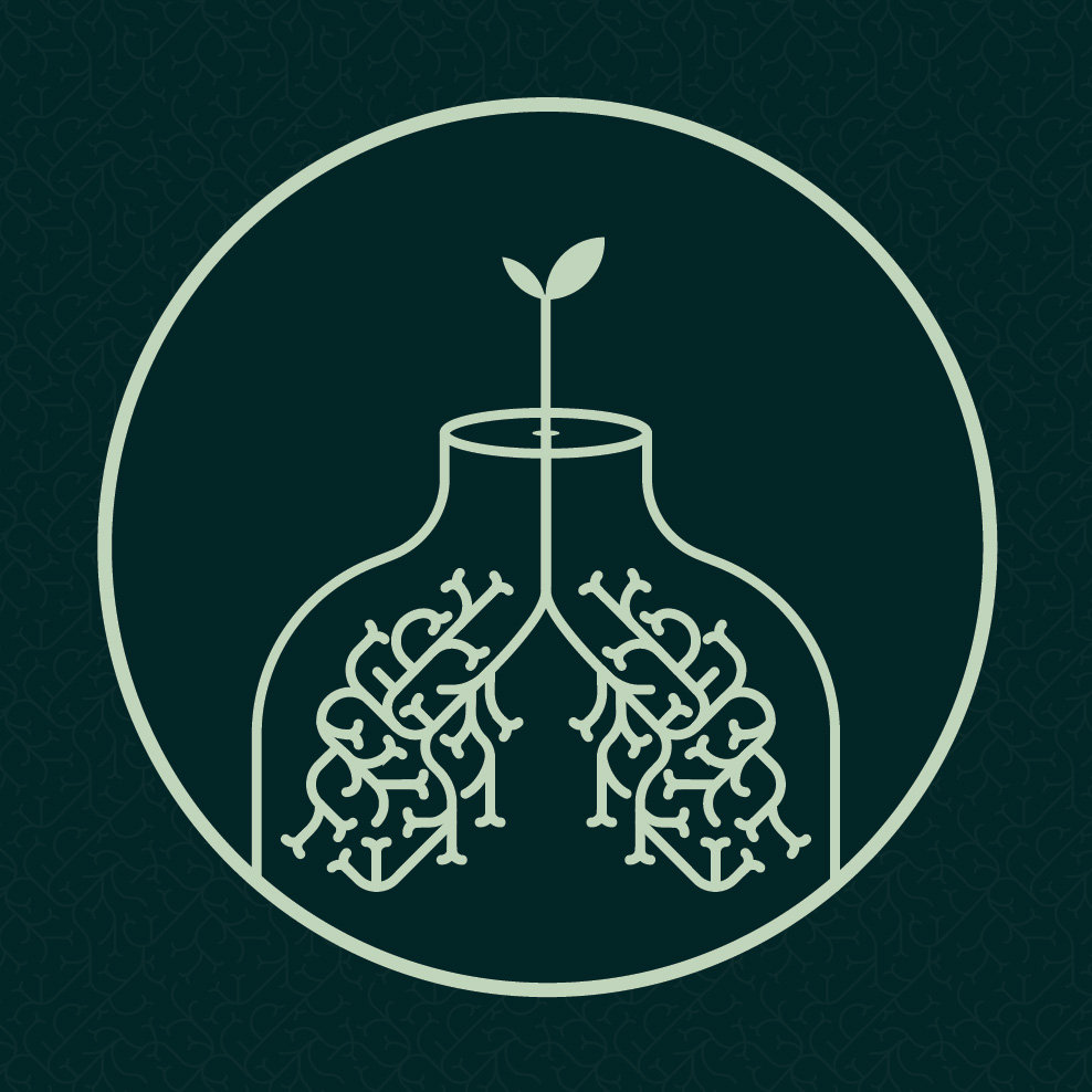 michał tomasik spero okładka