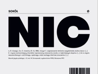 sokół nic
